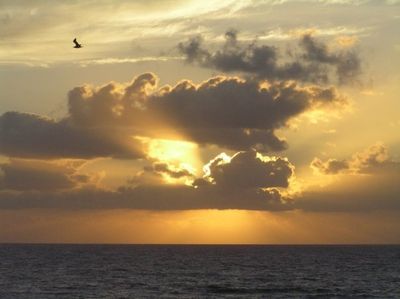 Daytona Beach at sunrise